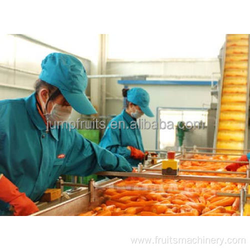 Automatic carrot juice extraction machine